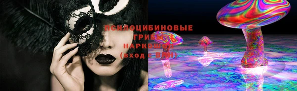 крисы Кукмор