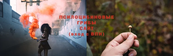 гидра Красноперекопск