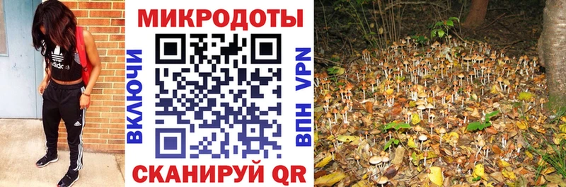 Купить закладки  Острогожск  Псилоцибиновые грибы мухоморы 